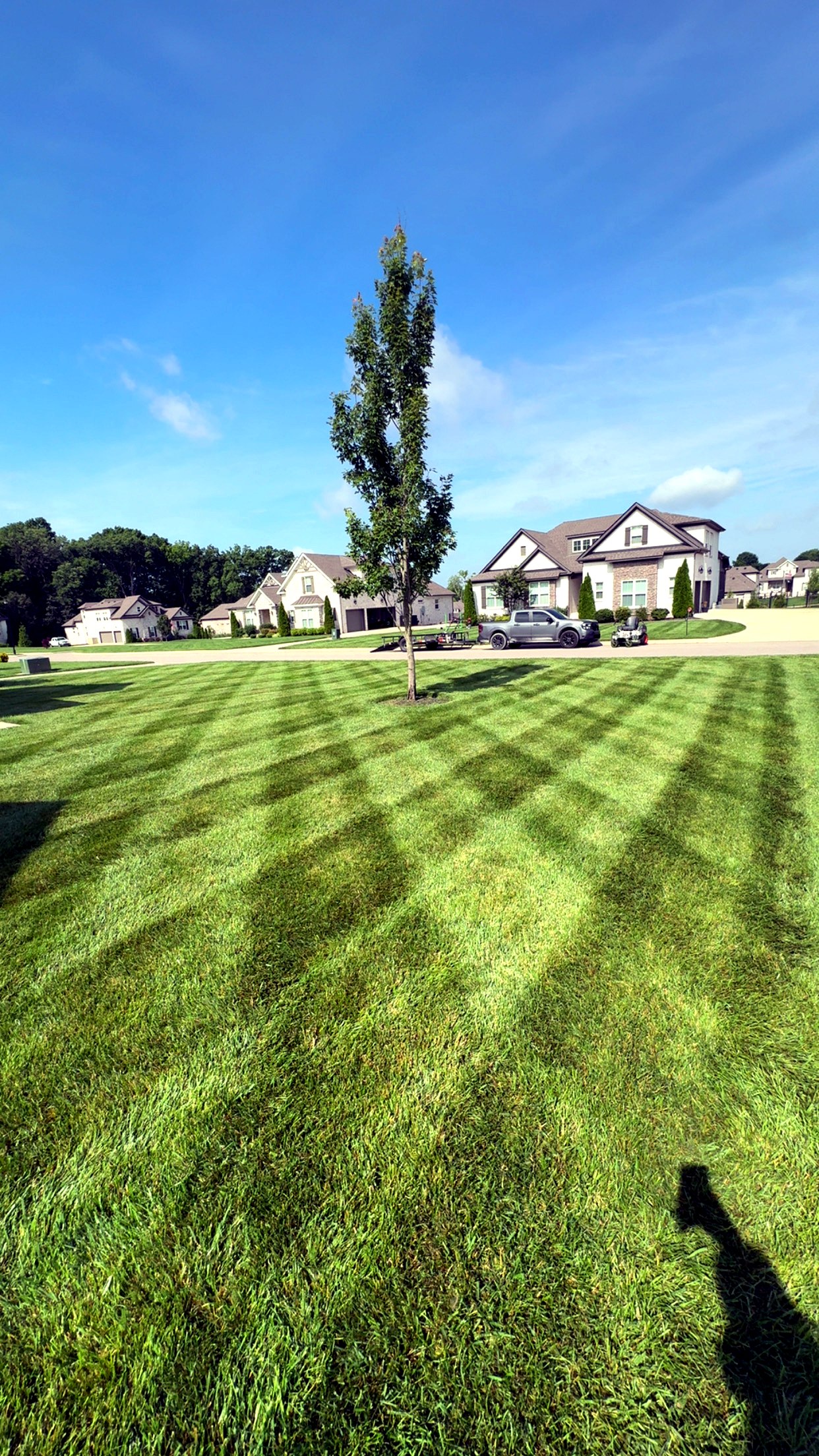 A freshly mowed lawn with crisp crosshatch striping in front of a large home